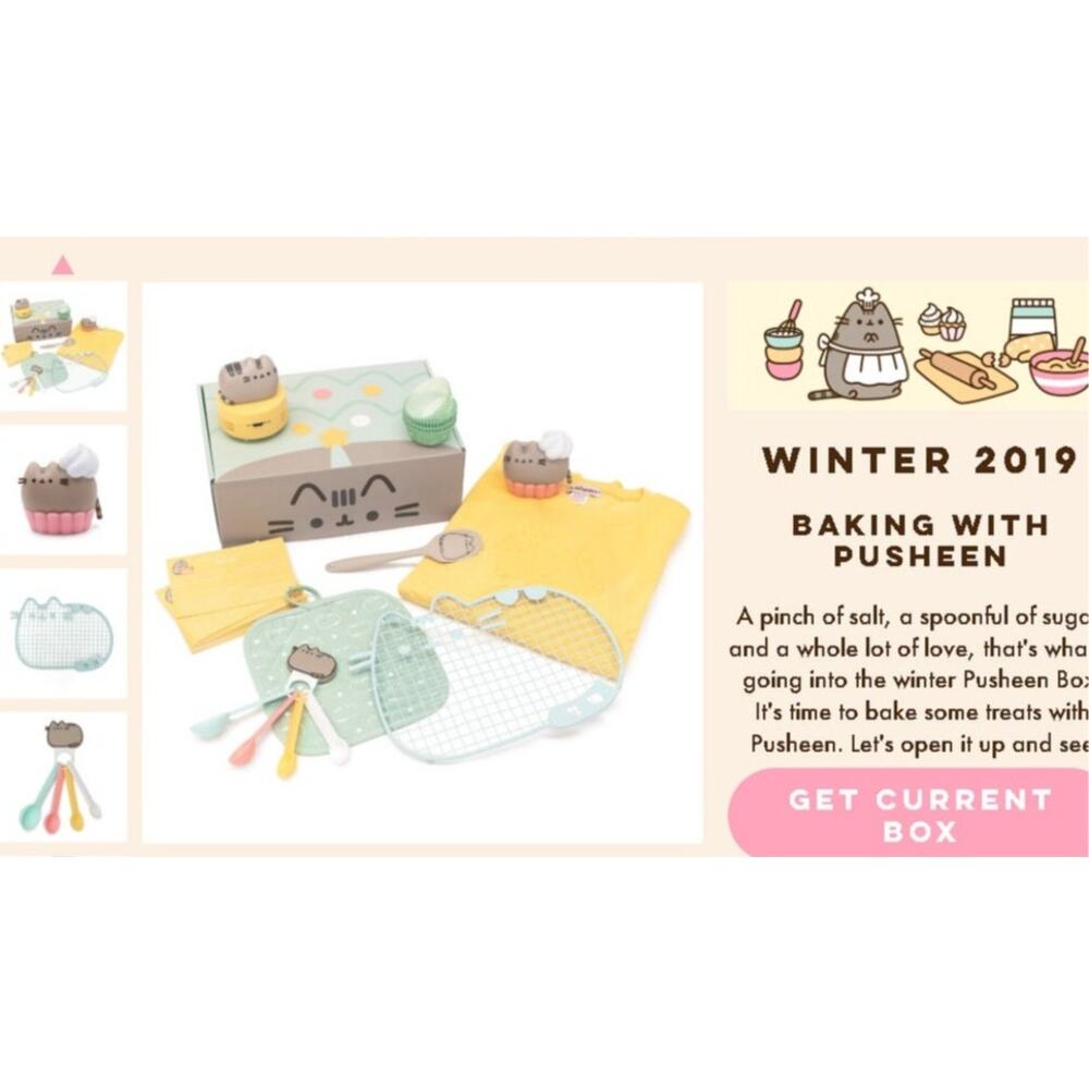 SEALED 2XWinter 2019 Pusheen Box  COOKING
